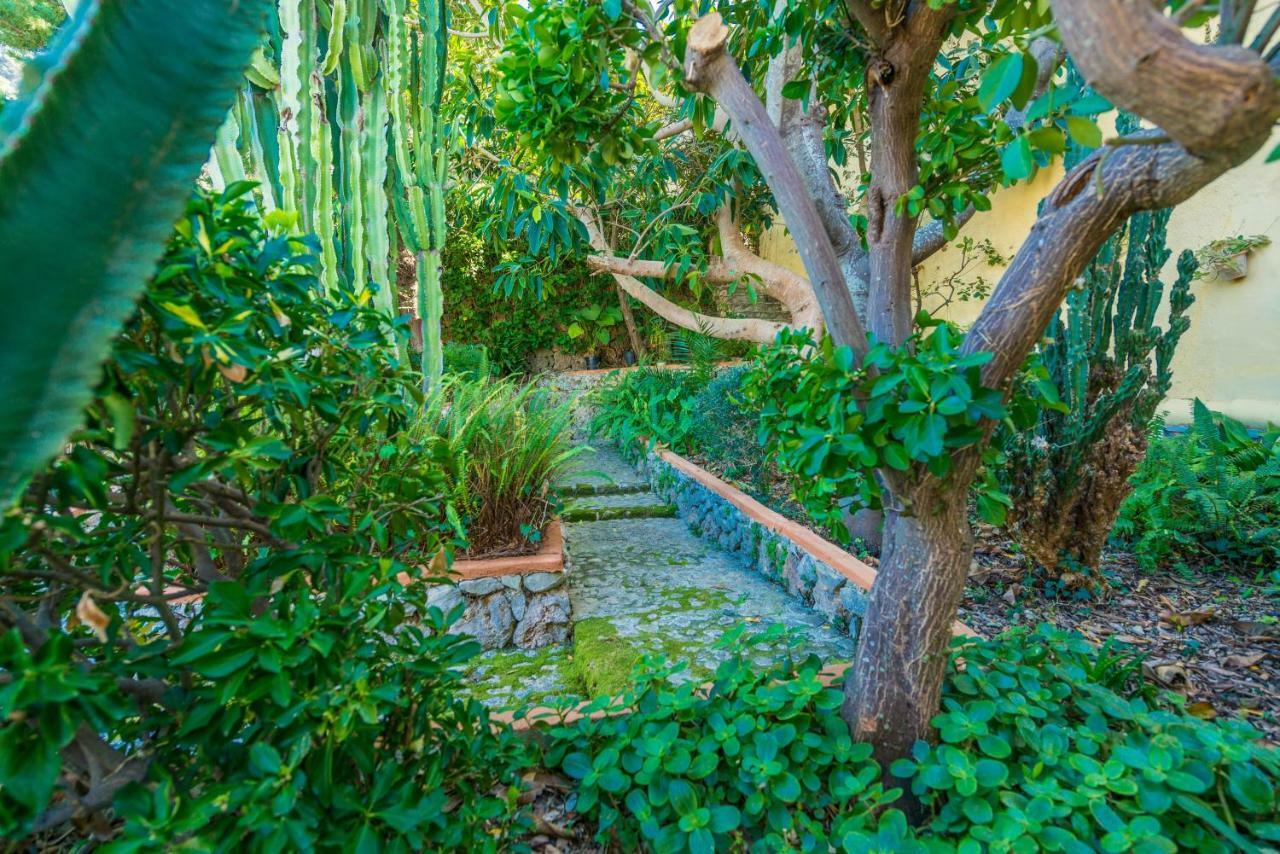 Villa Coste Moragues